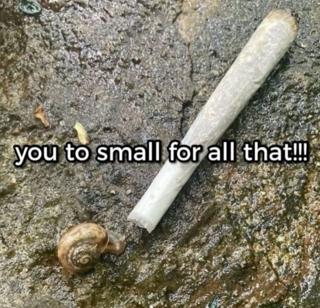 lmnjuicee's tweet photo. he started smoking right after being born https://t.co/PXuR2P6W3z