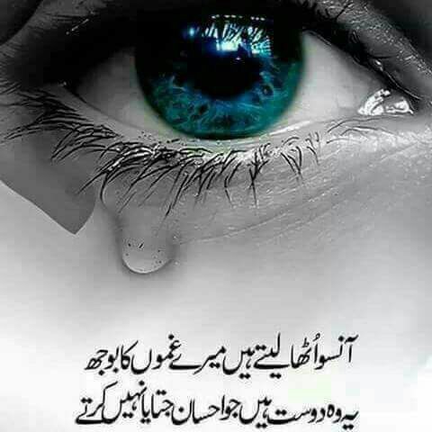 NaeemAb99023838's tweet photo. صبح بخیر زندگی ،
سدا خوش رہیں ۔ https://t.co/WYkZT9WHnc