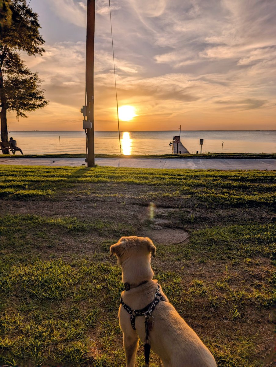 unclehenry's tweet photo. Happy Thursday from Fairhope Alabama https://t.co/wEPq7AbbZu