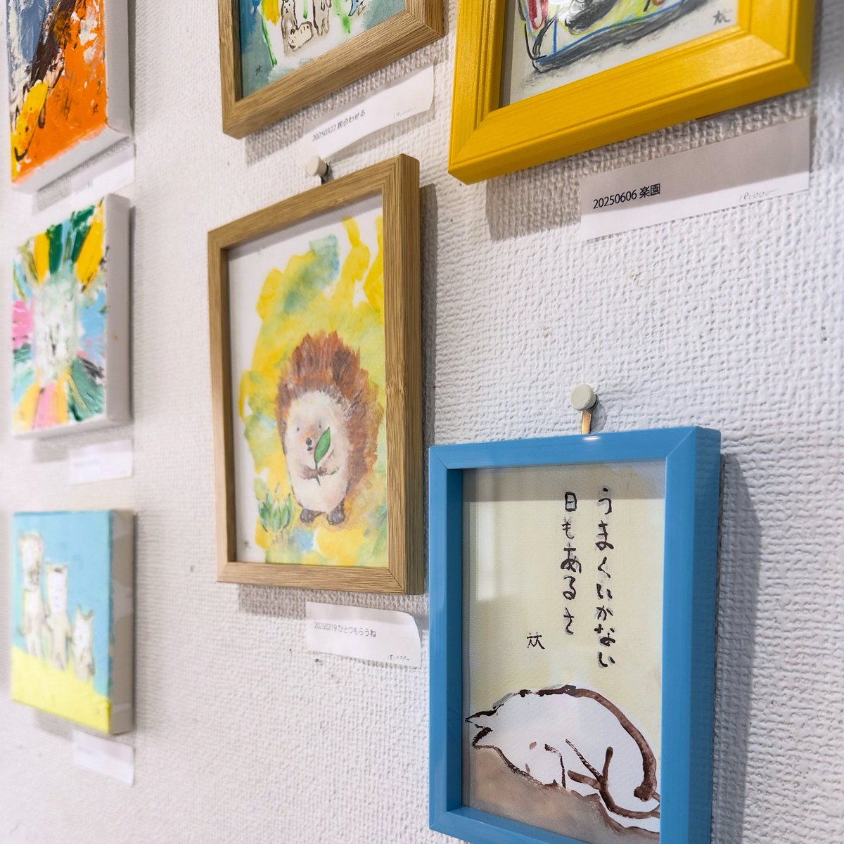 atgallerycafe's tweet photo. くもり空の #大磯 です、オープンしました。湿度のせいか少し寝不足の日々です。猫のいない生活は24時間エアコンで温度管理がなくて、スイッチの入れ時が難しいですね #atgallery_oiso https://t.co/zAhpyQA1e1