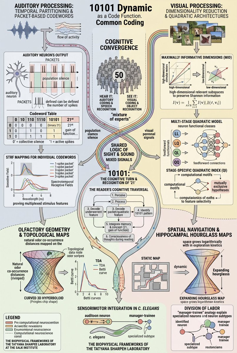 Graphics_Auth's tweet photo. @NEWSMAX So as you can imagine this type of complex pre-synaptic efficacy training and follow up post synaptic activity should mediate how a sender-reciever actually encode data.  Imagine reading "as," your brain processes? 

https://t.co/bjdYPkuL05 https://t.co/8i9BiHVhZD