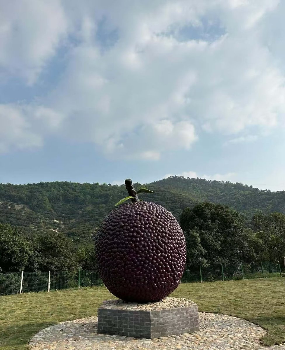 summer10256's tweet photo. Cixi boasts Zhejiang’s finest bayberries.
浙江杨梅看慈溪。 https://t.co/i3RrPPb8mP