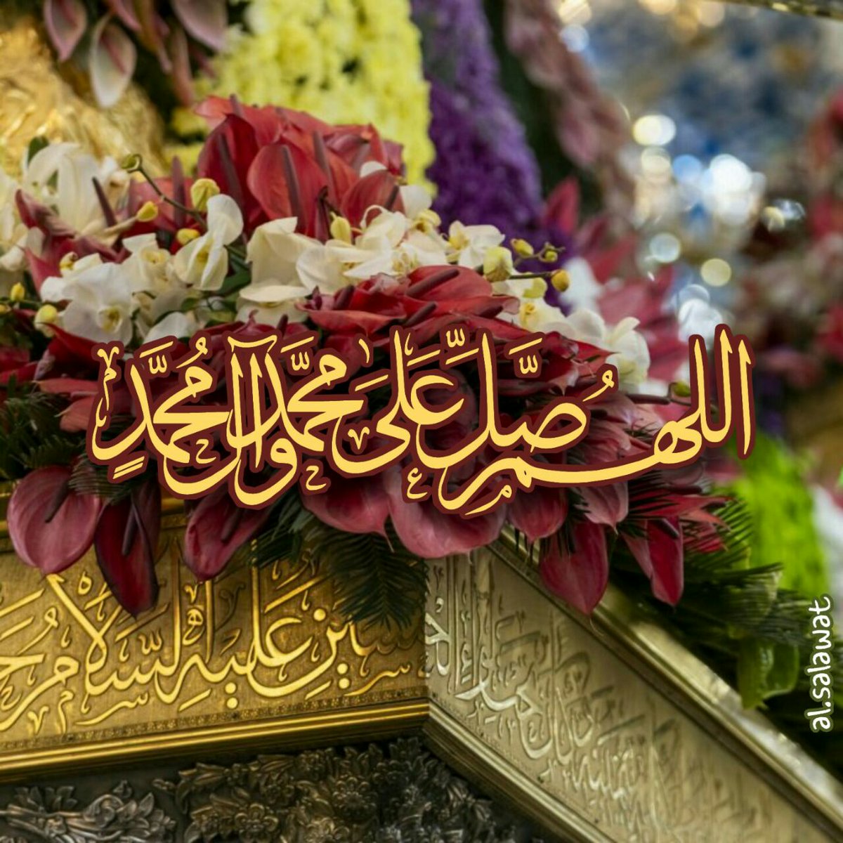 SaidAli313's tweet photo. https://t.co/w2UYBlIkzh