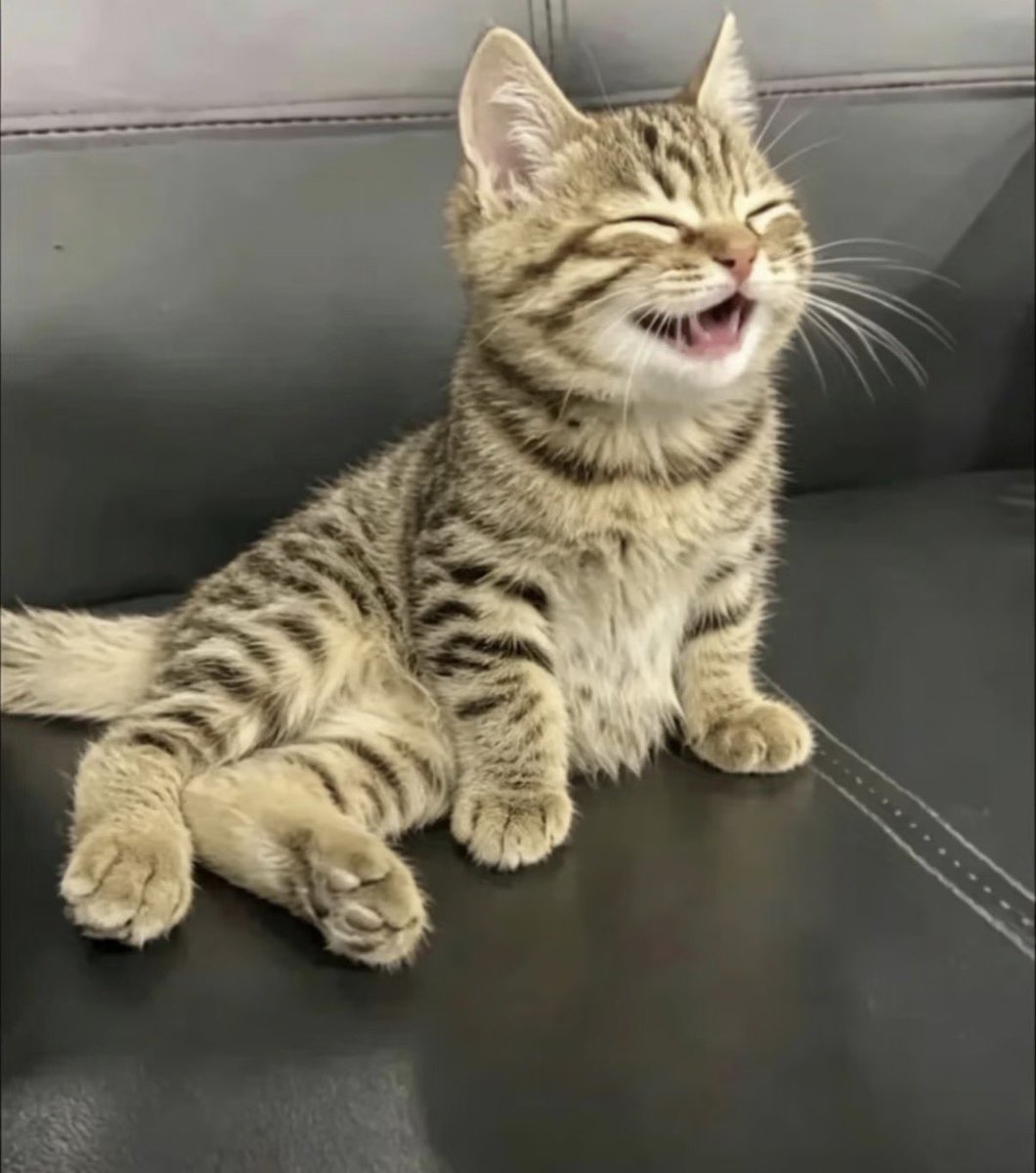 twaniimals's tweet photo. https://t.co/9mUd50F9oc