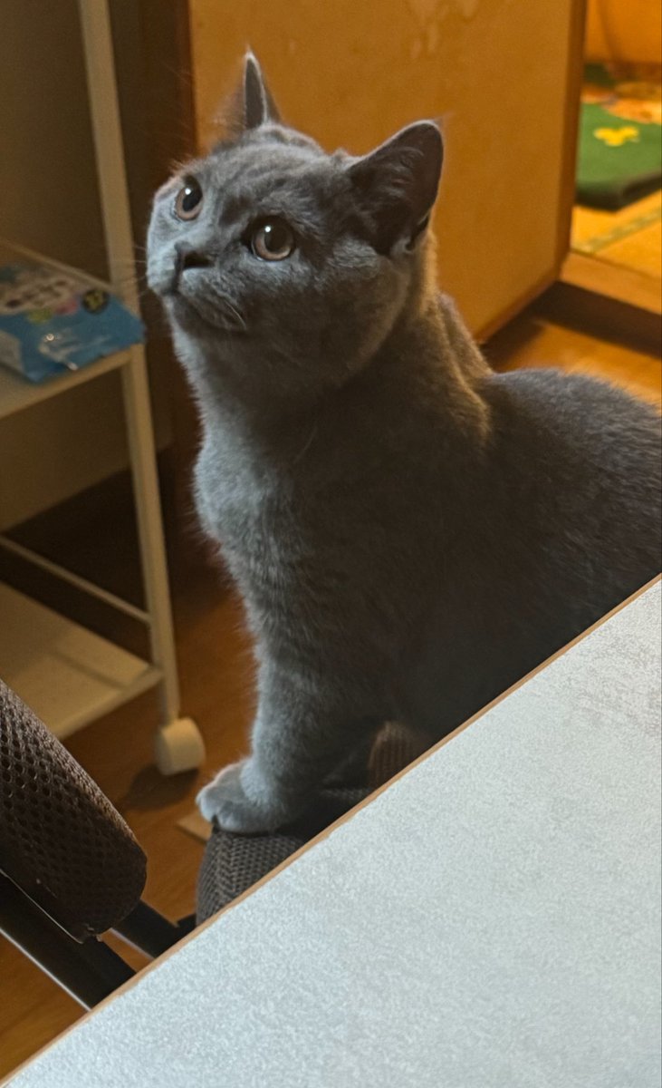 numabonn's tweet photo. https://t.co/vO3Kjkwu3K
