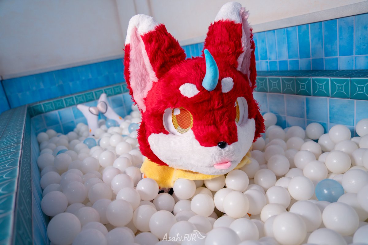 furry_meteor's tweet photo. 水很舒服喔 要一起嗎？

📷： @AsahiFUR 

#FursuitFriday https://t.co/rKDXB5HjJC