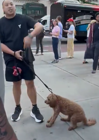 NursultanT's tweet photo. @nickshirleyy That dog wants to be out off that leash https://t.co/EX9UdMOq1M