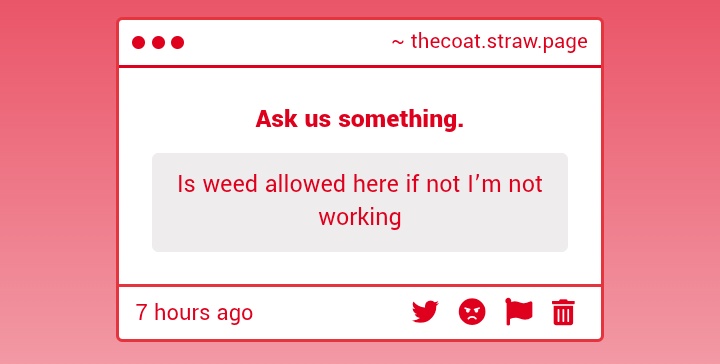 COAT. tweet media