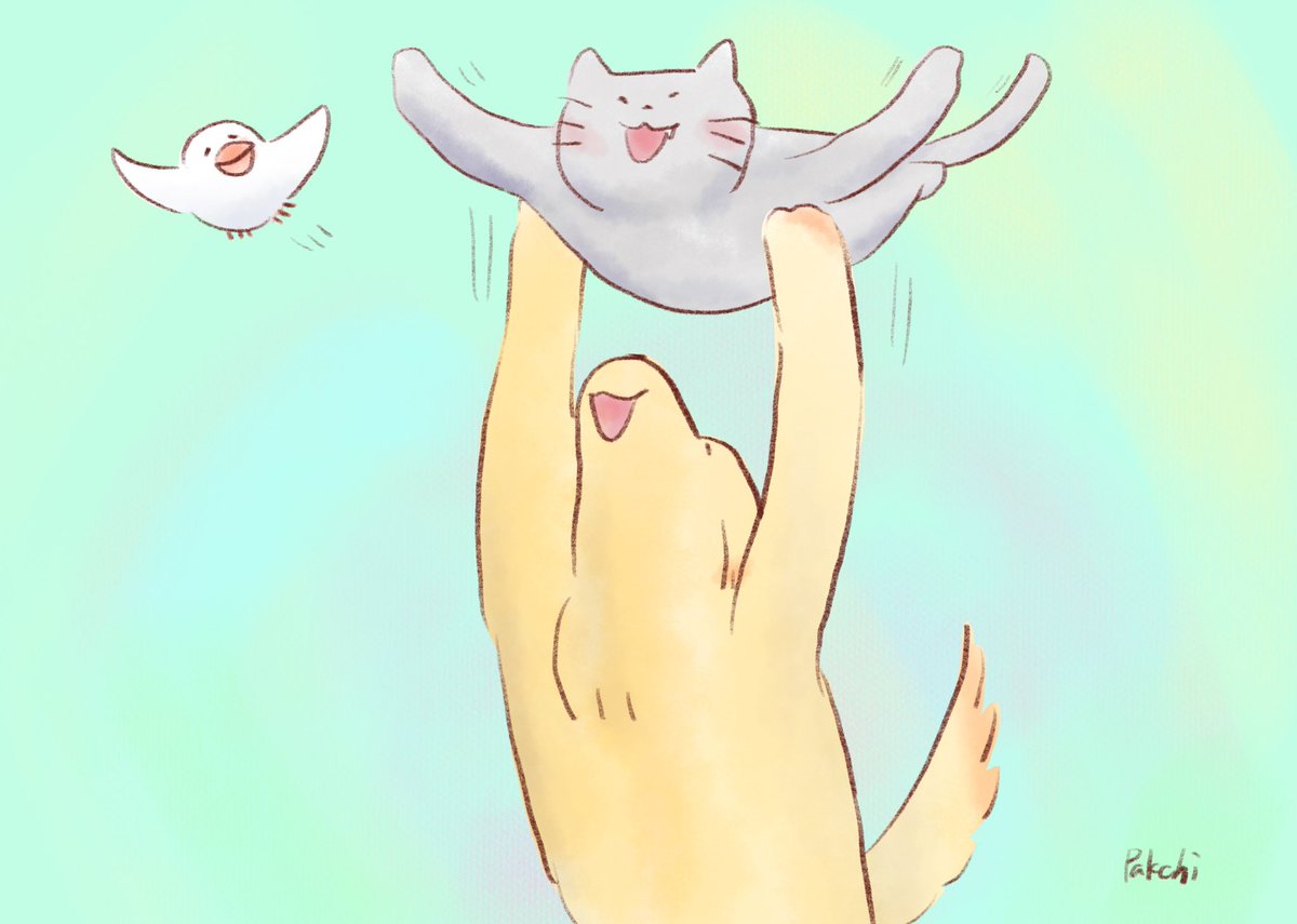 PaintPakchi's tweet photo. ひこうきごっこ https://t.co/6FnH98lede
