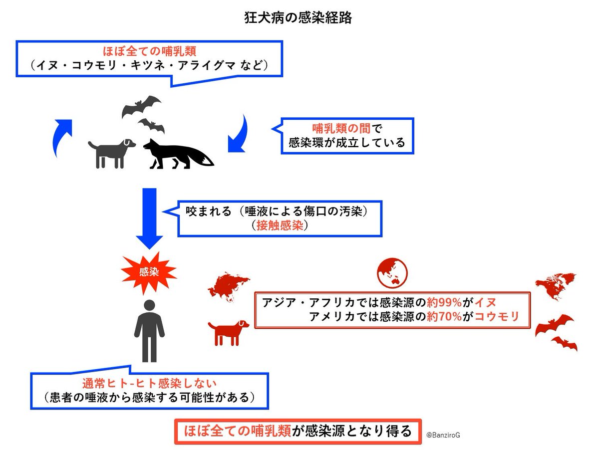 BanziroG's tweet photo. 『狂犬病』
狂犬病ウイルスによる感染症。
不安・興奮・錯乱・幻覚などから、昏睡や呼吸障害を起こし、発症するとほぼ100%が死亡する。
特にアフリカ・アジア・中南米での発生が多く、清浄国の日本でも輸入例の報告がある。
#感染症紹介short
https://t.co/pVJOaRlyy6 https://t.co/xh2ynAZisk