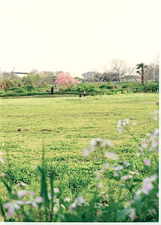 PhotoYossi71539's tweet photo. 河川敷の記憶 フィルム
#auto110 https://t.co/Ok8W97BUmM