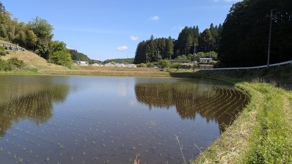 TintsF's tweet photo. 今季から、水利組合
（苦戸川用水維持管理委員会）の
事務局長に就任しました。

台風後の影響を確認するために、
取水口のある那須御用邸まで行き、そこから僕たちのつくる田んぼまでの流域を確認してまわりました。
（今回は、無事でした）

先人たちの築いてきた水利の歴史と、
老朽化の現実。

先日までの、水不足。
渇水の原因は目詰まりなのか
途中での漏水トラブルなのか。
はたまた、降水量が少なすぎたからか。

また、台風のように増水した際には、
難所は負荷に耐えられるのかなど

様々な課題があり、
役員として直面しております。

…

先輩に連れられて、
道中案内してもらっていると、
苦戸川用水のカバー範囲の広さ
（水が使われている面積が広い！）
に圧倒されるとともに

改めてこの水が、
地域を潤していることの意味や、将来の世代につないでいく意義を感じました。

これから、水をどうやって守っていくのか。

食料生産としても
生態系の維持としても
そして、地域での生活水としても

水なきところに、命はありません。

これは農家だけのお話ではなく、
たくさんの方に知っていただいて
一緒に考えていただきたいテーマだと思います。

これから、水のリアルを
時々、お知らせしてまいります！