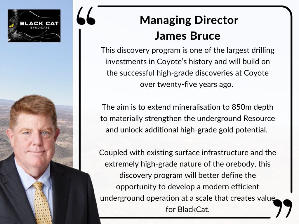 blackcatsyn8's tweet photo. Black Cat Syndicate is advancing our Coyote Discovery and Growth Plan 2026 with a planned $11M investment for 35,000m of drilling at our 100% owned Coyote Gold Operation, including extensional, infill, metallurgical and regional drilling. 

#BC8 #ASX #Gold https://t.co/d1Tf1KCfDP