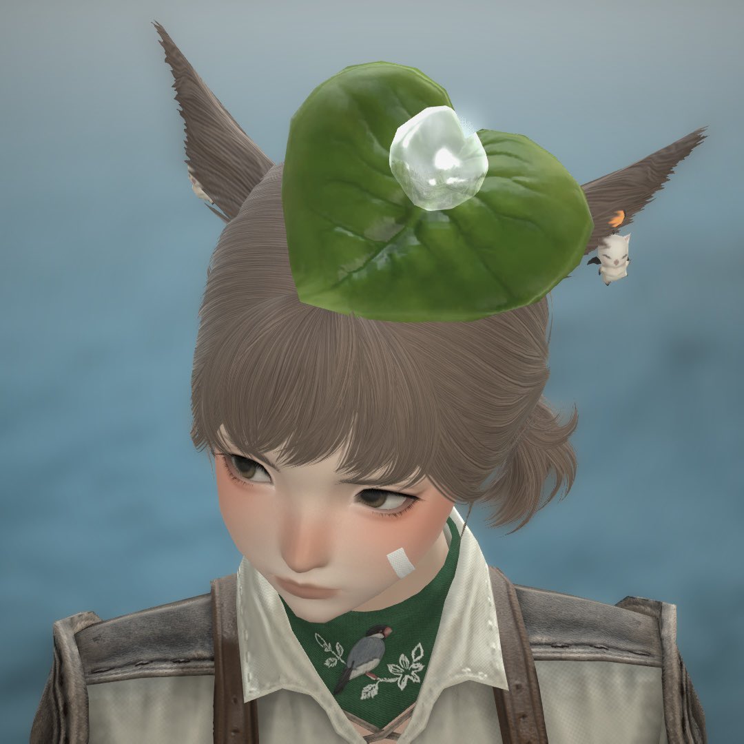 moonpurl's tweet photo. regular sized leaf on her head https://t.co/E01rIpAkqn