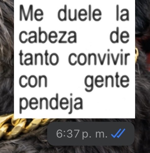 VladTM09's tweet photo. Mi vida laboral la define éste sticker https://t.co/L4Y0pfidTp