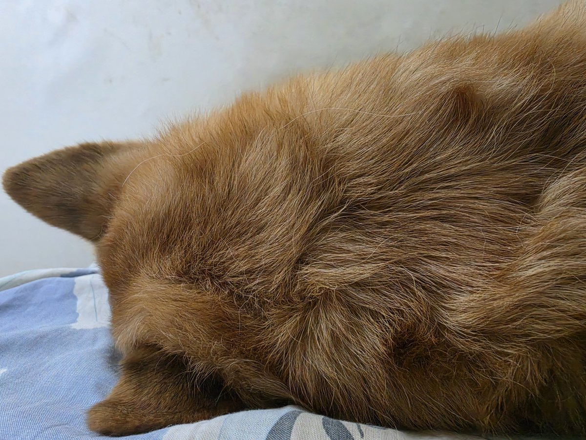 danskuss's tweet photo. Kagett banget bangun tidur viewnyaa kek gini 😭😭😭 https://t.co/ZwXuKNTXE0