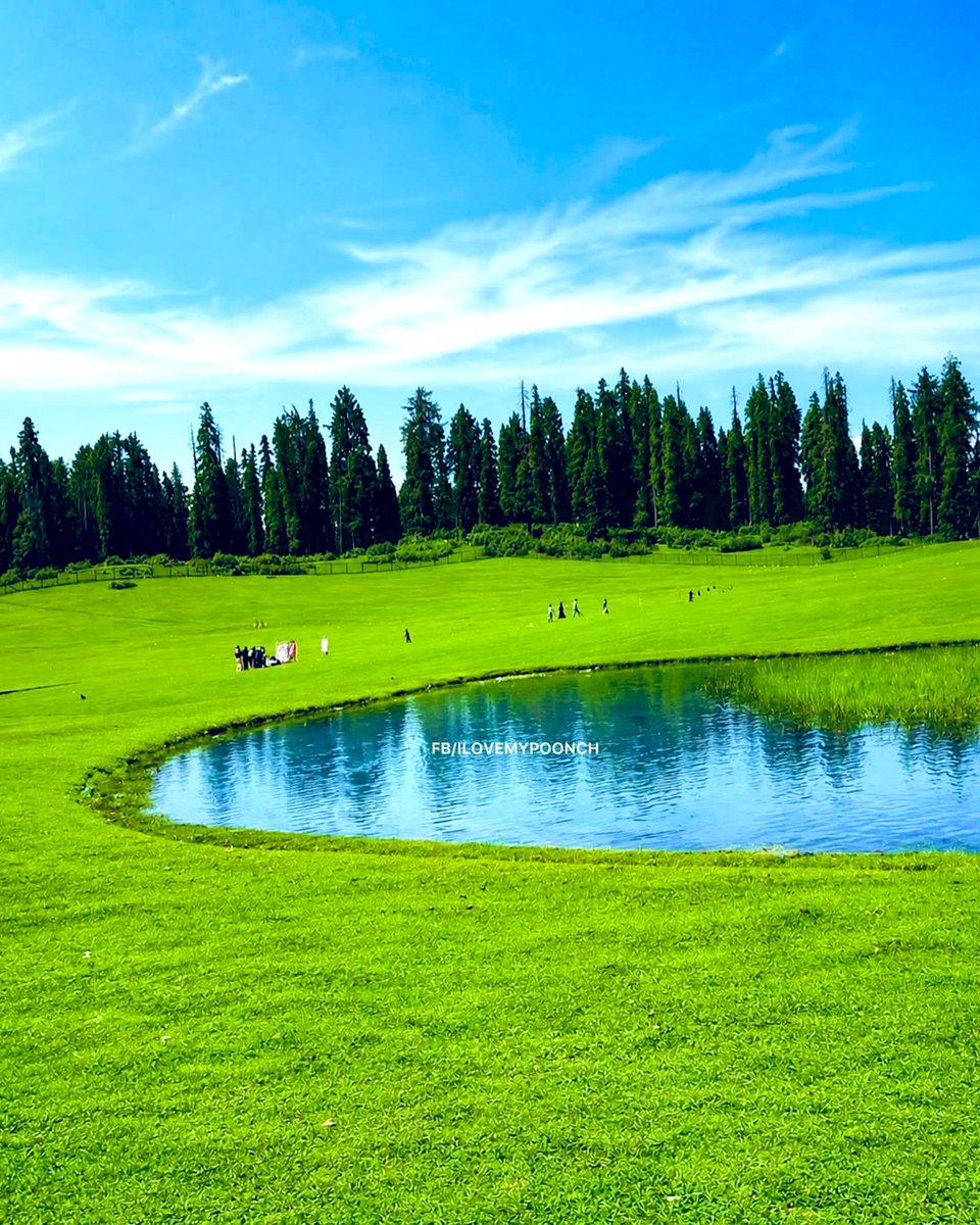 AshrafRajput_'s tweet photo. Doodh Pathri Budgam UT Jammu and Kashmir Green velvety plains, clear water and tall deodar trees, a beautiful glimpse of paradise https://t.co/mYf9UvQtFg