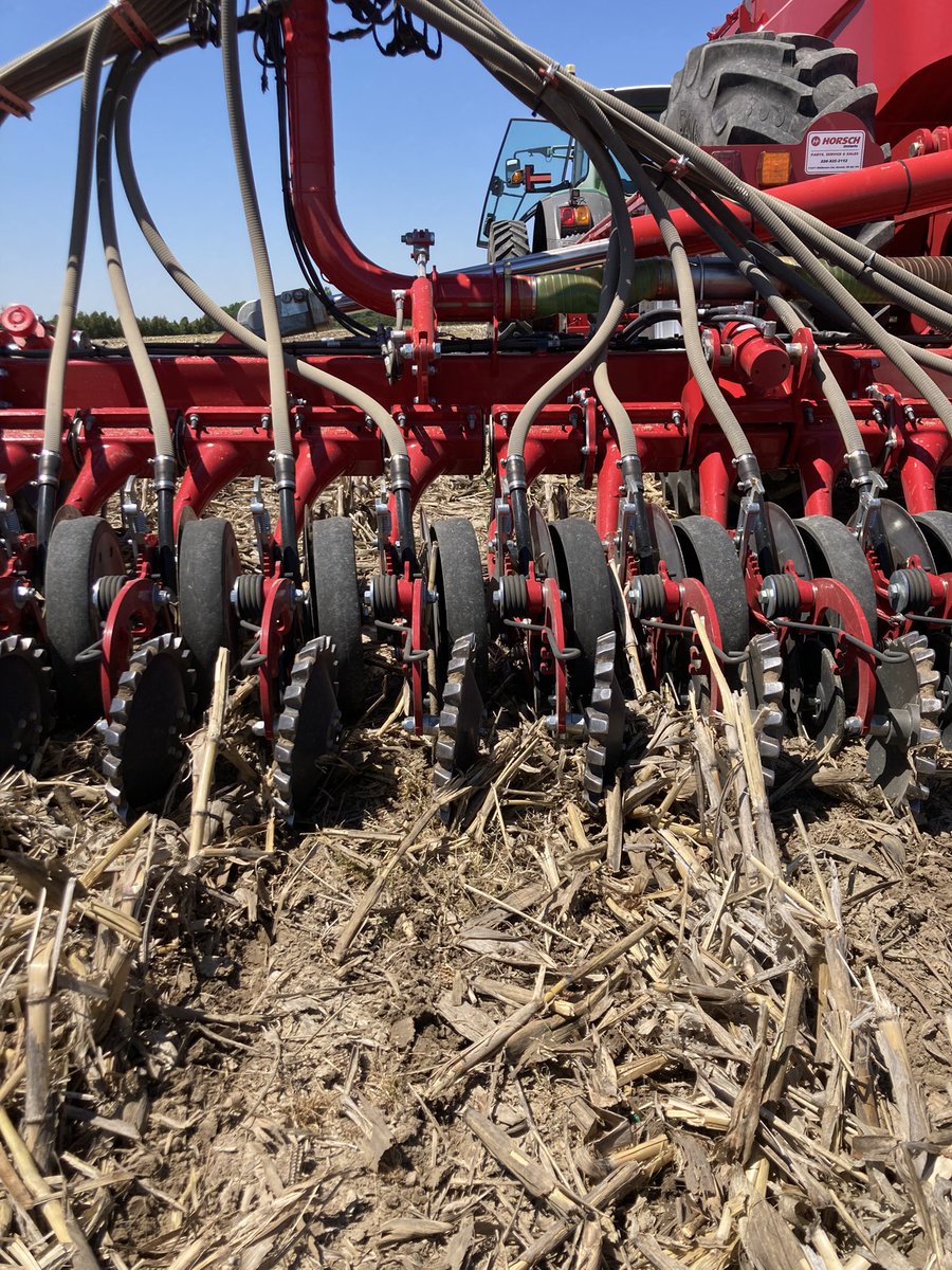 Willmorris7Will's tweet photo. @PetkerFarm @HorschOntario https://t.co/lzgUhXLZOV