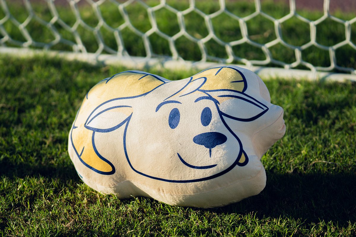 CimarronesFC's tweet photo. 🛍️🐏 ¡Últimos días para aprovechar el 15% de descuento en la Tienda Cimarrón! 💪🏽

Llévate muchos de tus productos favoritos a un precio especial ⚽🔥

🏟️ Compra en nuestra tienda oficial en el estadio o realiza tu pedido en línea usando el código CIMARRON15 para desbloquear tu descuento.

⏳ Promoción válida hasta el 7 de junio. ¡No te quedes sin aprovechar esta oportunidad!

Aplican restricciones*
Válido hasta agotar existencias. No aplica en productos con descuento ni en jerseys de $250 y $550. 🐏