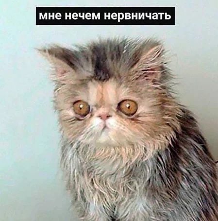 SmugTricks's tweet photo. @nozomu57_ - Но какой ценой?
- Ценой всего: https://t.co/Fg86wNqYyK