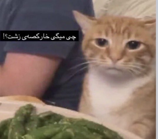 yekiadv's tweet photo. وای https://t.co/NKFxL92AN6