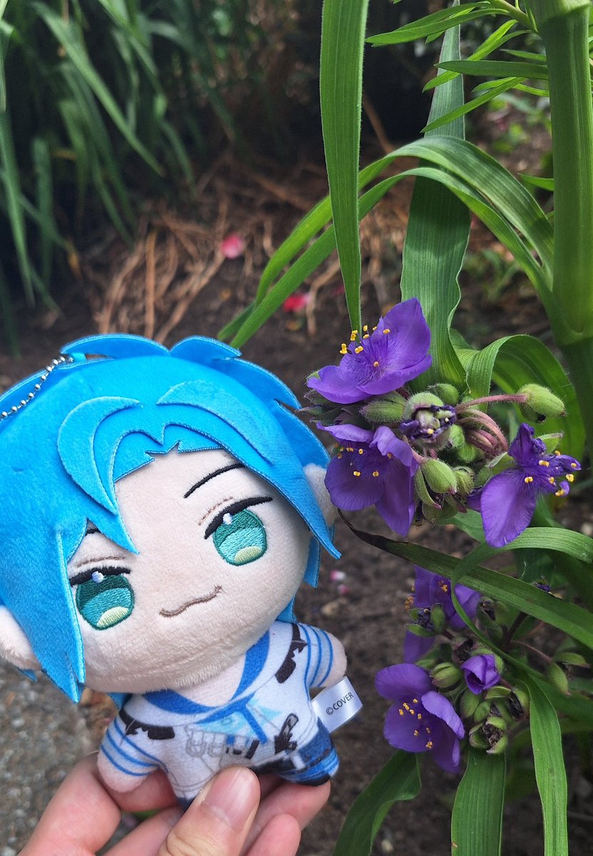 WindStreak's tweet photo. Took more pictures of flowers and Nuis!
#FlayonsCrayons #Takotime #WorkofAlt https://t.co/kQaHo688dd