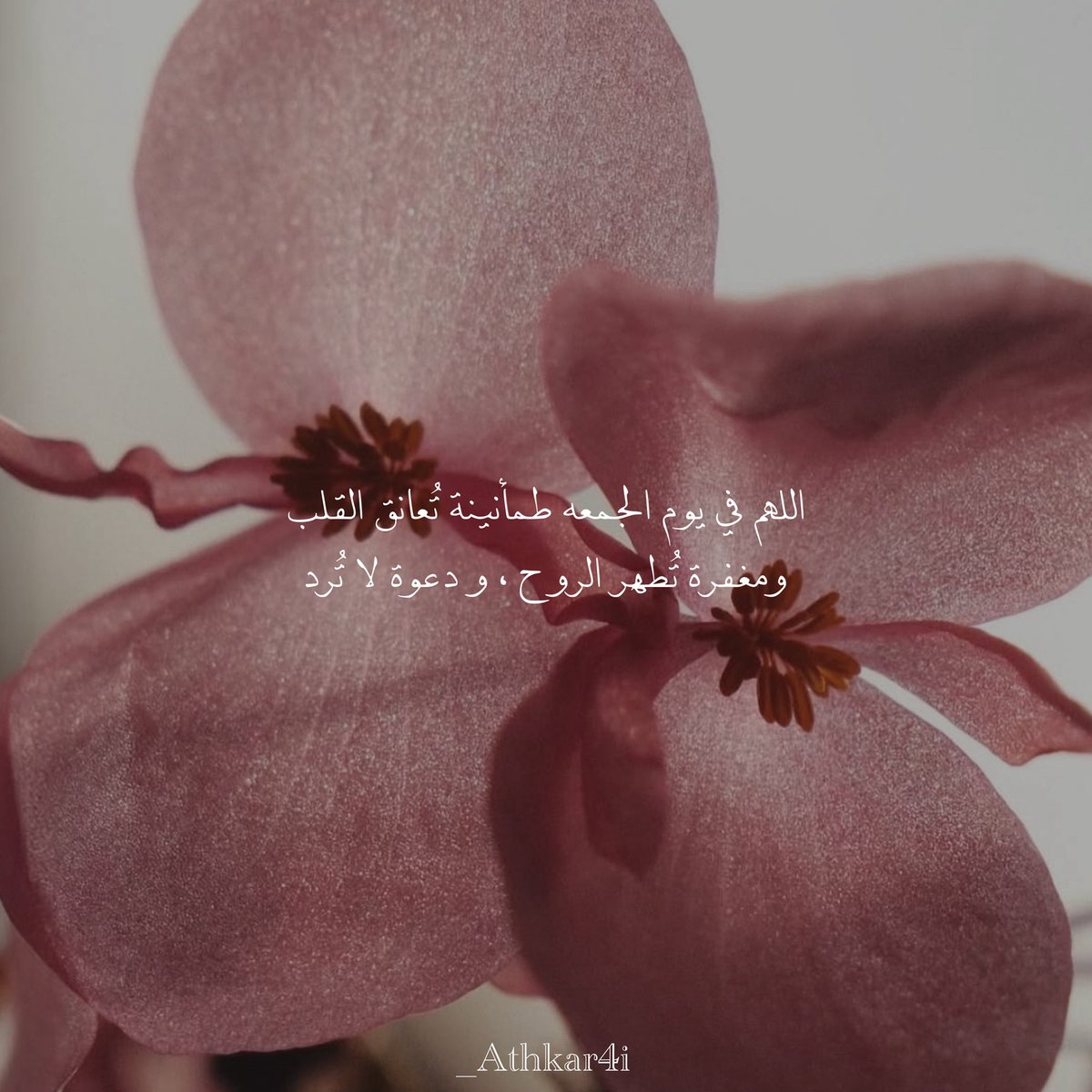 _AThkar4i's tweet photo. #يوم_الجمعة https://t.co/Bmb0Kr6rOo
