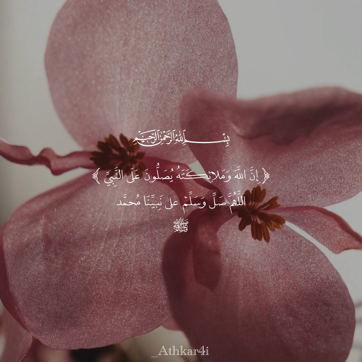 _AThkar4i's tweet photo. #يوم_الجمعة https://t.co/Bmb0Kr6rOo