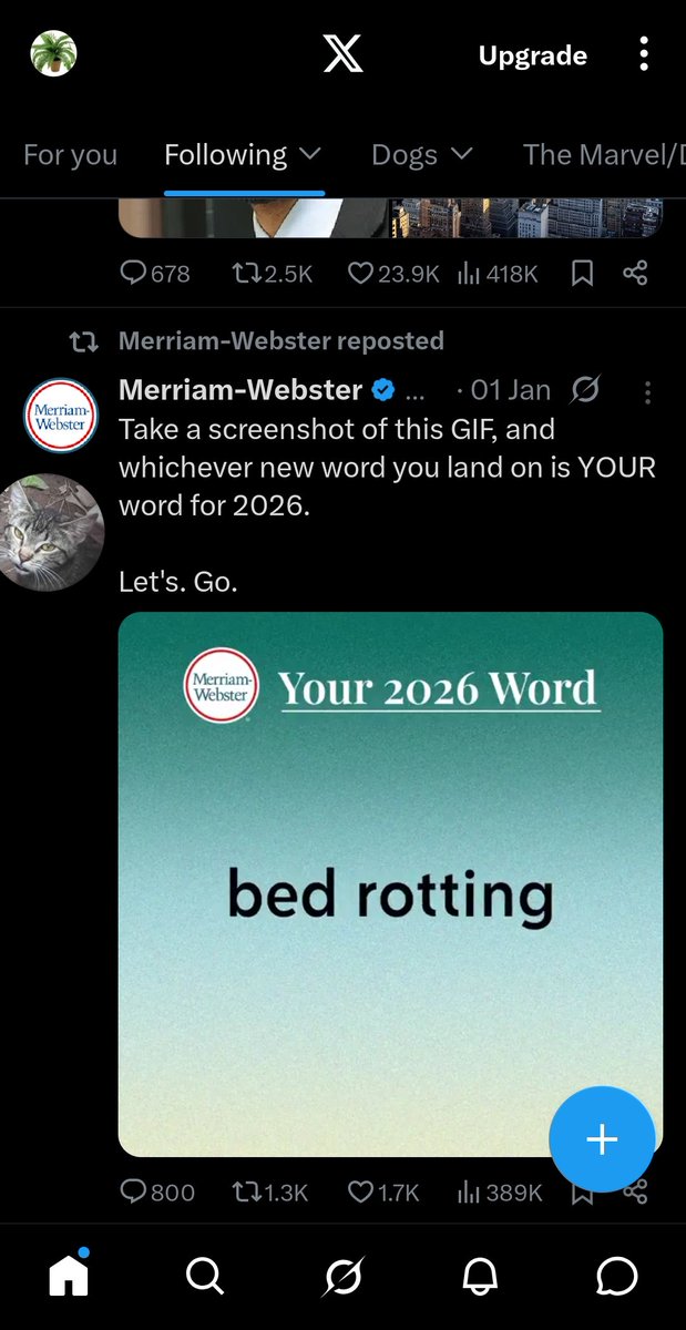 OversizedFern's tweet photo. @MerriamWebster Accurate https://t.co/AOFIrmnUl2