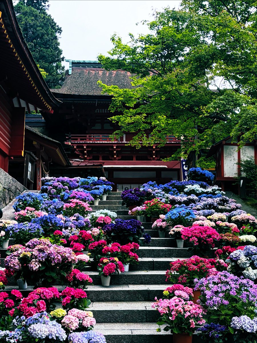談山神社,Tanzan-Jinja Shrine【公式】 on X: 