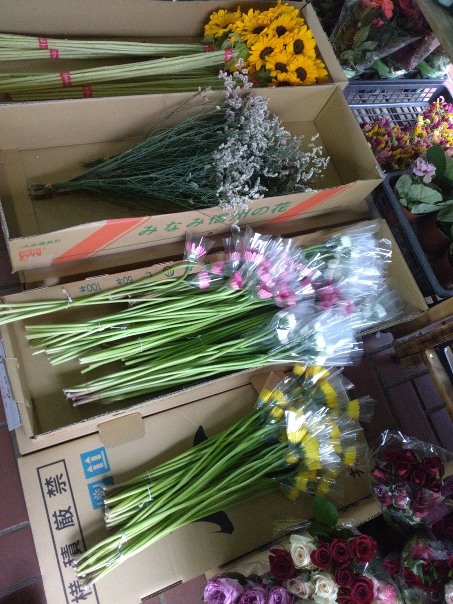 WF_ofuna's tweet photo. 花持ちが良いユリ、シャクヤクやヒマワリ、ガーベラ、バラなど新鮮な切花が入荷しております😊、バラは2束 税込550円とお買い得です!
#ワールドフラワー #大船 #花 #ユリ #ひまわり #ガーベラ #バラ https://t.co/W99AEkVLxR