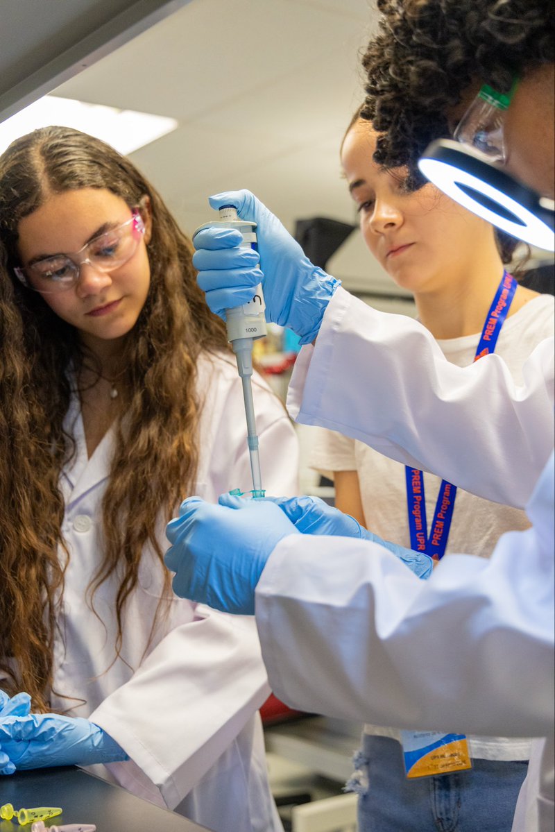 premuprh's tweet photo. 🧪🔬 Día 4 de #ExperimentaConPREM2026 | UPR Humacao

Hoy comenzaron las experiencias de laboratorio, donde nuestros participantes pusieron en práctica sus conocimientos y continuaron desarrollando destrezas de investigación, análisis y trabajo científico. 🚀

#STEM #UPRHumacao https://t.co/IhgsktmfmL