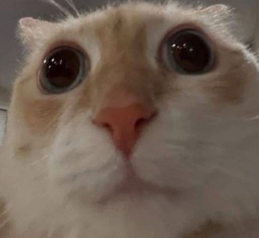 emildemon1's tweet photo. @goreshino Pero que mierda me haces ver maldito https://t.co/tn6LI2El4d