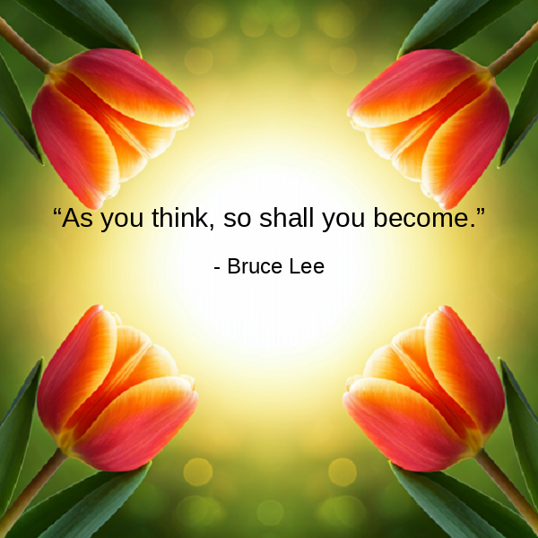 DailyQuotes254 tweet picture