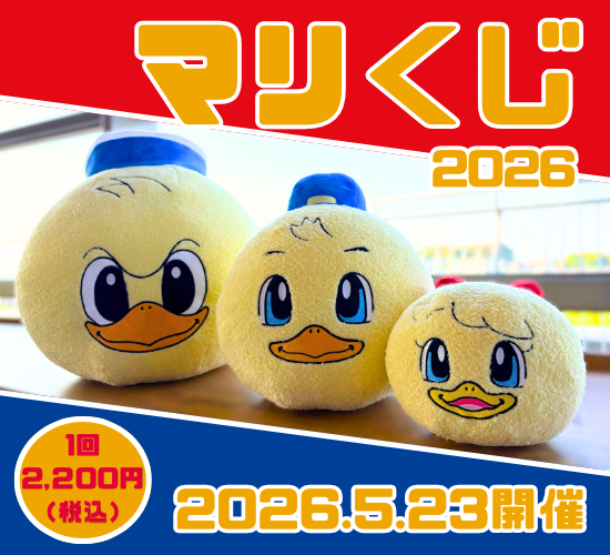 🐥━ マリくじ 𝟚𝟘𝟚𝟞 ━ ⚓️ ／ 📣19:30まで開催中‼️ ＼ コロコロ