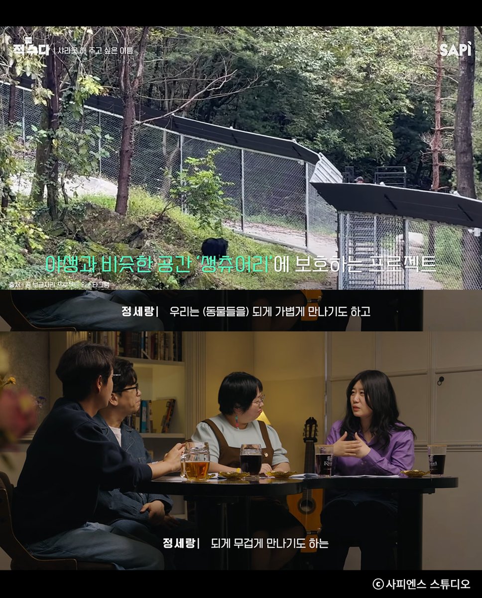 sakyejul_human's tweet photo. 우리가 동물들과 가볍게 만나기도 하고 무겁게 만나기도 하는 측면들을 새로운 지점으로 쓰셨어요. 단순한 동정도 아니고, 무조건적인 이해도 아니고 섬세한 방향으로 가신 것 같아서 다른 책, 다른 지면이 그분께 가면 좋겠다 생각했어요. 진짜 글을 잘 쓰시기 때문에..."
#적수다 #정세랑 #최태규 https://t.co/RWGzVyxWsY