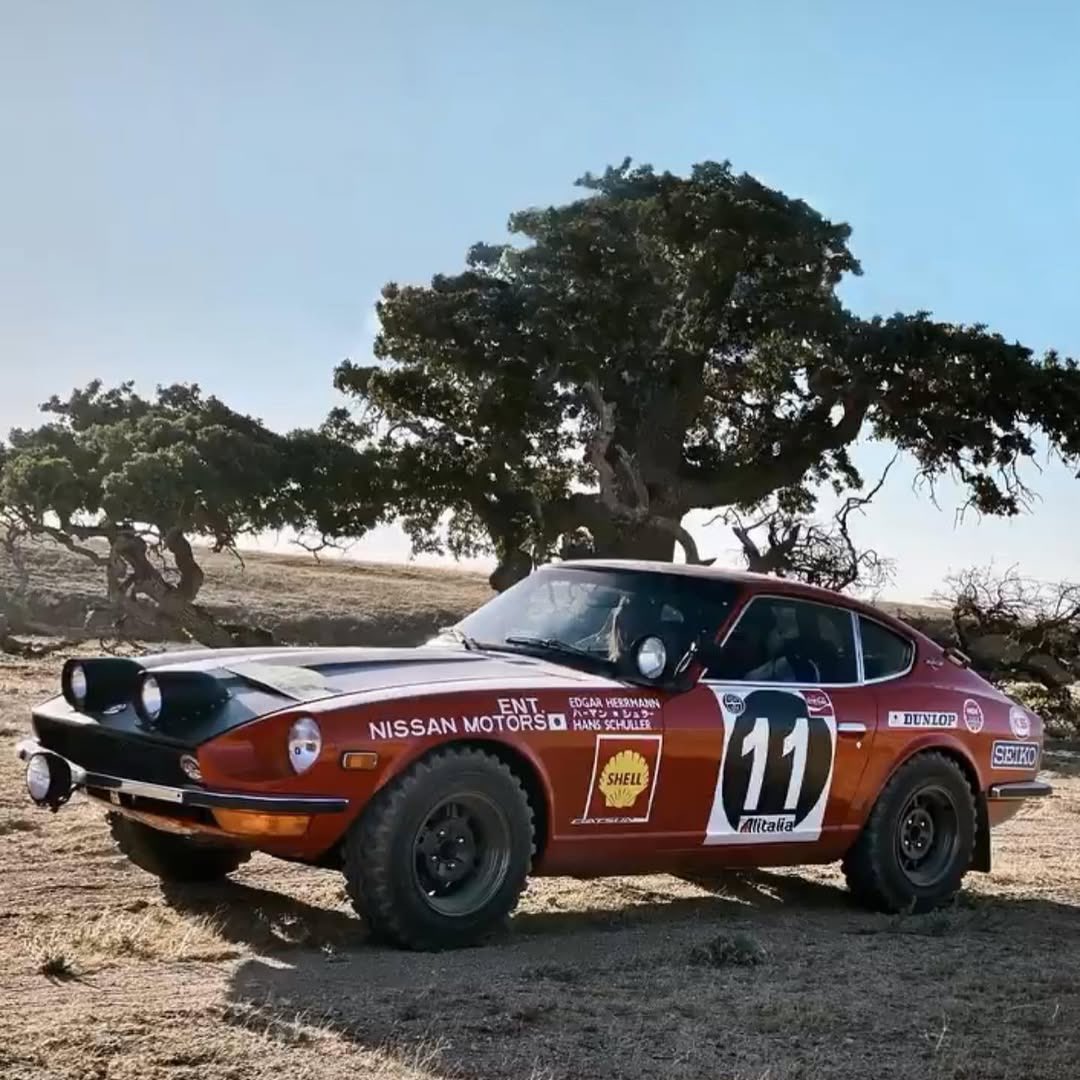 ZCARGARAGE's tweet photo. For Sale
Z Car Garage presents five cars for sale from Randy Jaffe’s collection. 

-1971 Datsun 240Z Series 1 S30 with Rocketbunny

-1970 Datsun 240Z Safari  

-1970 Datsun 240Z Bonneville 

-1979 Ex-Jim Fitzgerald Datsun 280ZX 

See https://t.co/o3oV3FZtZz for details https://t.co/tX2CeX48CK