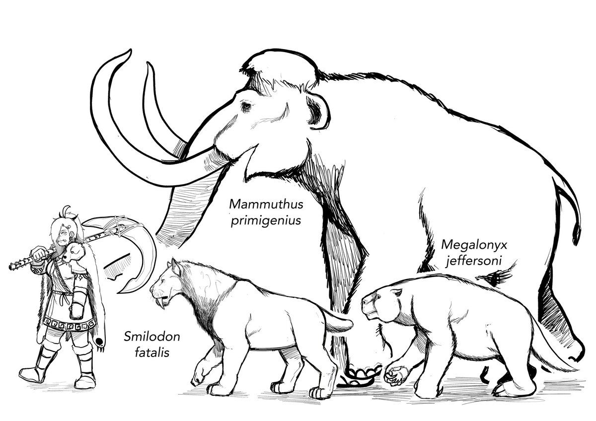 ArtMizuX's tweet photo. Trio Ice age
Many the Woolly mammoth
Diego the North American Saber-toothed Cat
Sid the Jefferson's Ground Sloth
#icecage #paleoart #sketch #paleontology #pleistocene #megafauna https://t.co/QYo8SiguTu
