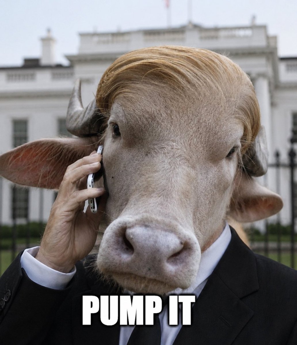Billywin.btc tweet media