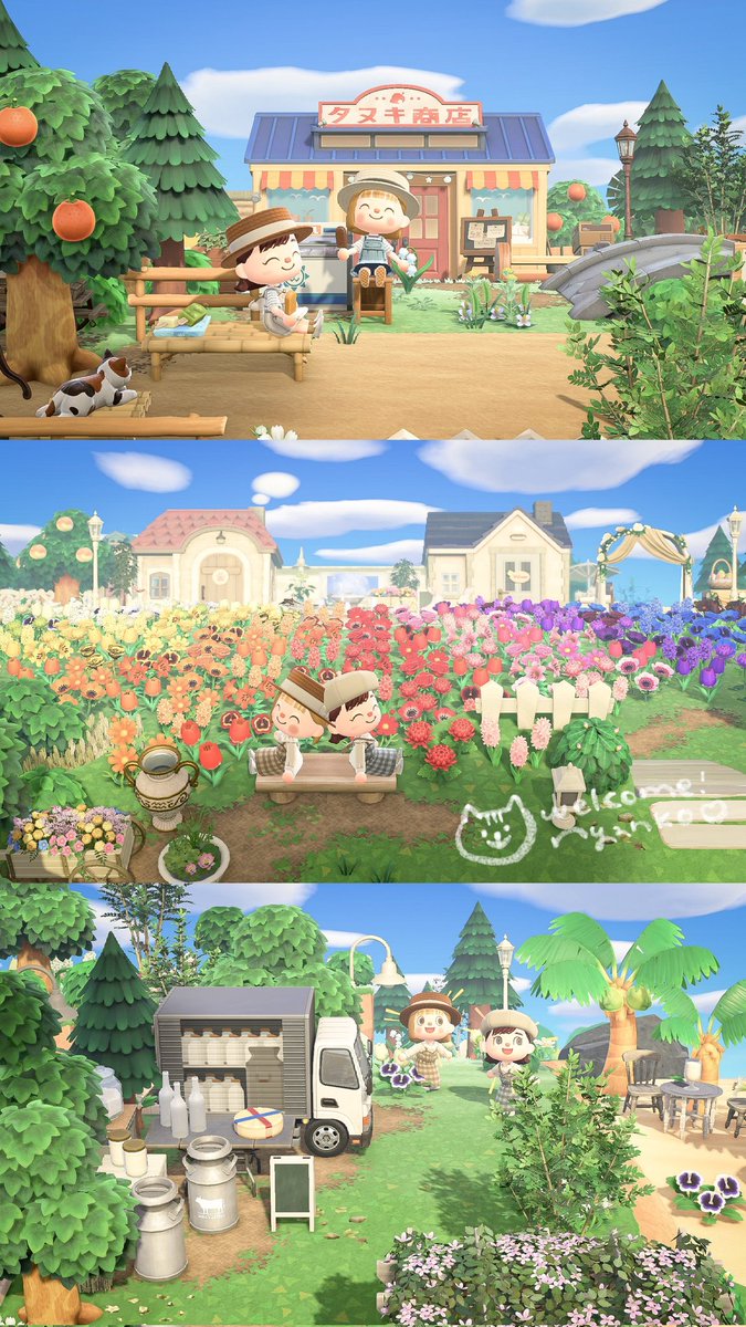 Haru_N_acnh's tweet photo. ぽこちゃんが島に遊びに来てくれました🌿
(※タップすると増えます)
#あつ森 #あつ森写真部 #AnimalCrossing #acnh https://t.co/VG2bJv0emH