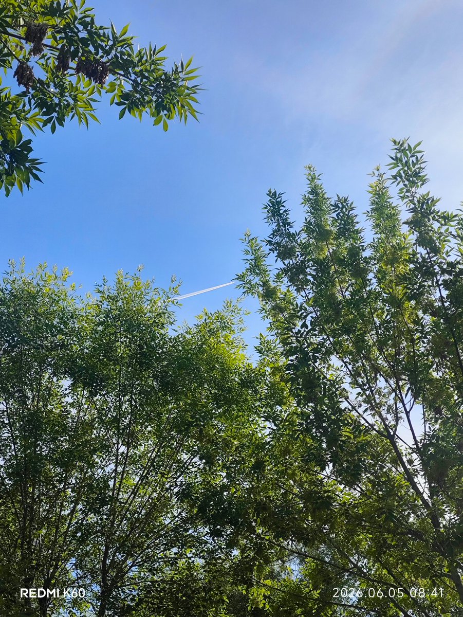 CityObserve's tweet photo. #blue sky https://t.co/bLgqhQ294V