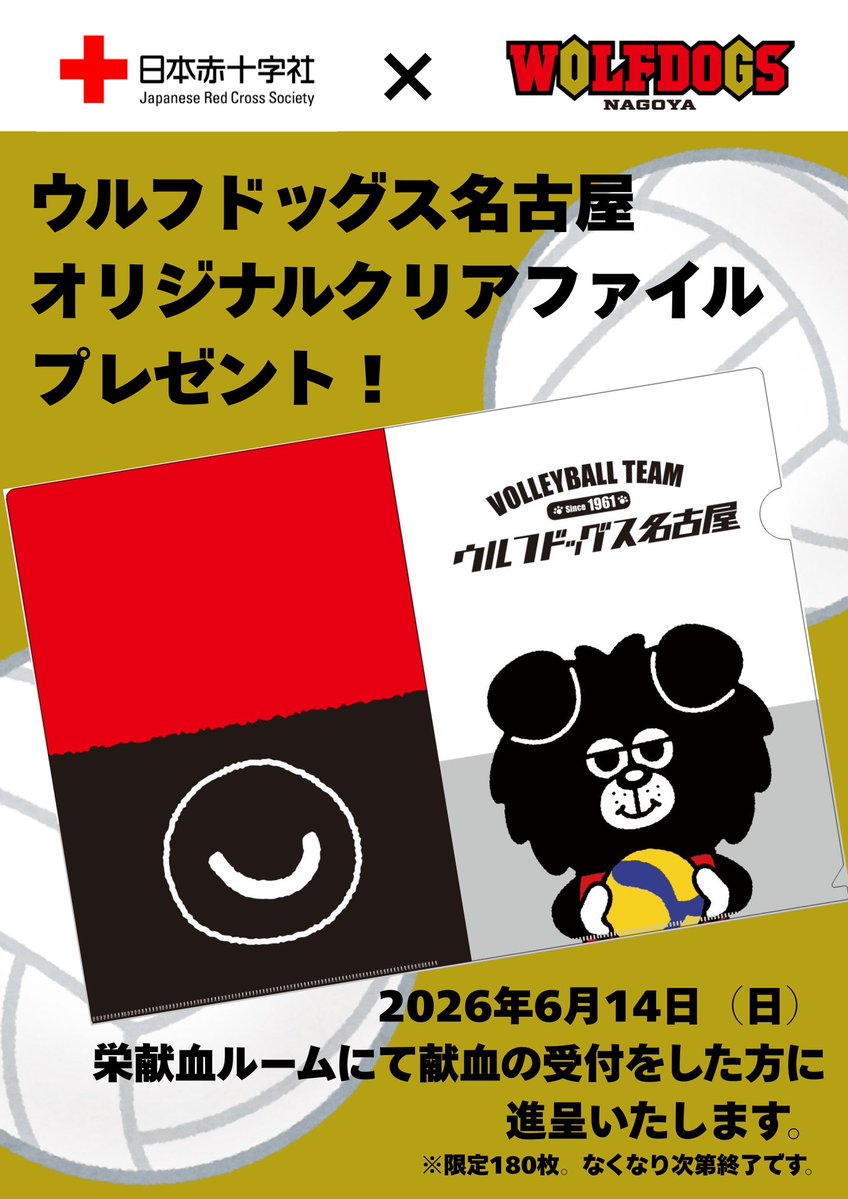 ウルフドッグス名古屋 (@Wolfdogs_NAGOYA) / Posts / X