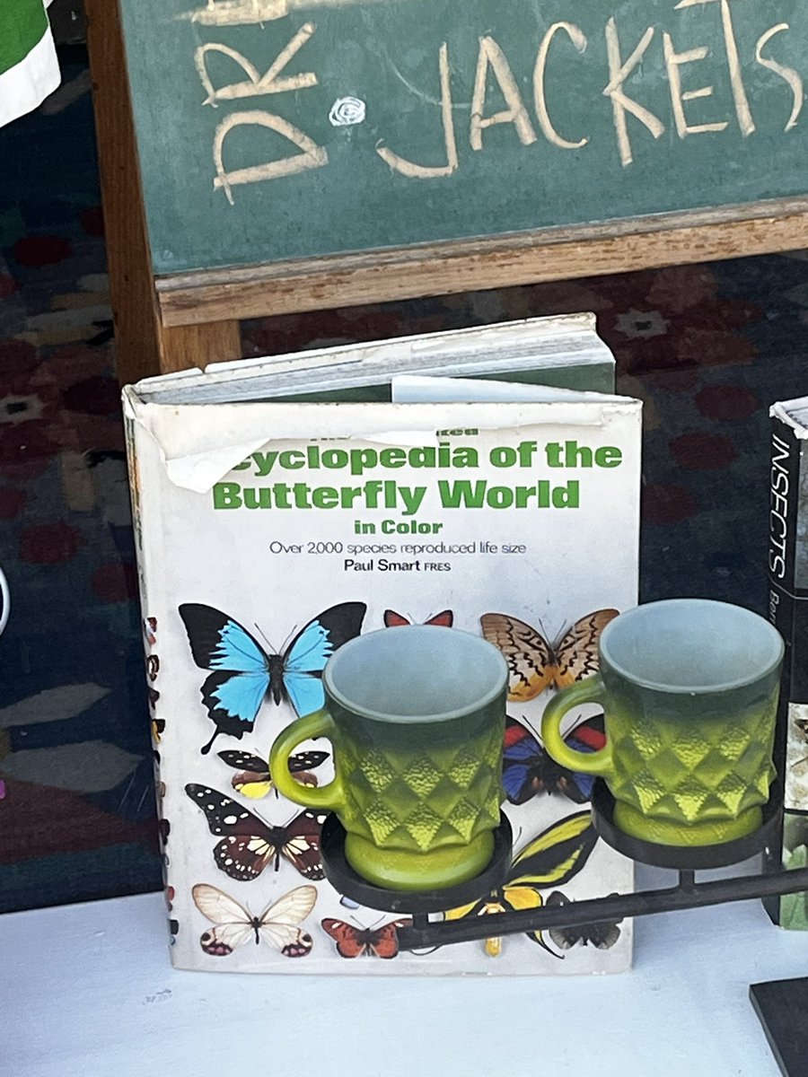 ibeemakingstuff's tweet photo. I know a vintage butterfly book hates to see me coming &amp; rightfully so because I’m leaving with SOMETHING👩🏾‍🎨✂️🦋🖼️ https://t.co/CkmggBR4D5