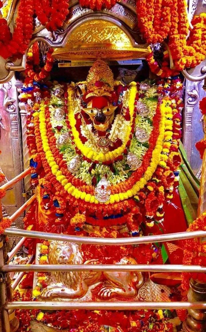 SatishR98081062's tweet photo. #विंध्यवासिनीधाम 
आदि शक्ति,जगत जननी, विशिष्टता को सृजन करने वाली, वृहत रूप धारण करने वाली, महान उदर से युक्त और व्यापक विग्रह वाली माता विन्ध्यवासिनी की मैं आराधना करता हूँ। मां सब पर कृपा बनी रहे।
🚩 जय मां विंध्यवासनी🚩🙏🙏
#GodMorningFriday
#WorldEnvironmentDay
#Peddi https://t.co/A0g2FacaCQ
