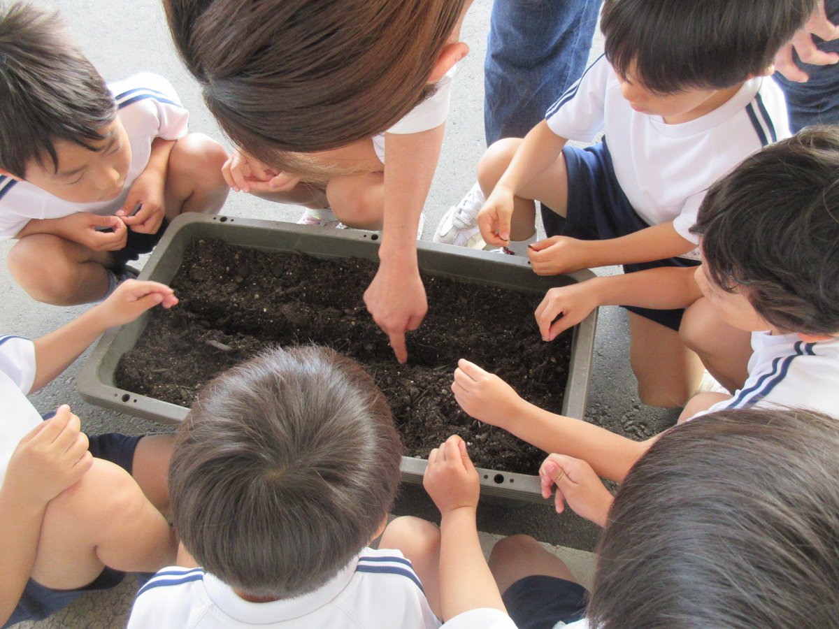 IP_hakusan's tweet photo. \中学生が職場体験❗️/

職場体験のため、#布水中学校 の生徒が白山警察署に来てくれたよ

今日は #あさがお保育園 の園児たちと一緒に、過去に交通事故で亡くなった児童が育てていたひまわりの種をまきました

みんなで交通安全や命の大切さを願う大切な１日となりました https://t.co/Qijc6XbAXh