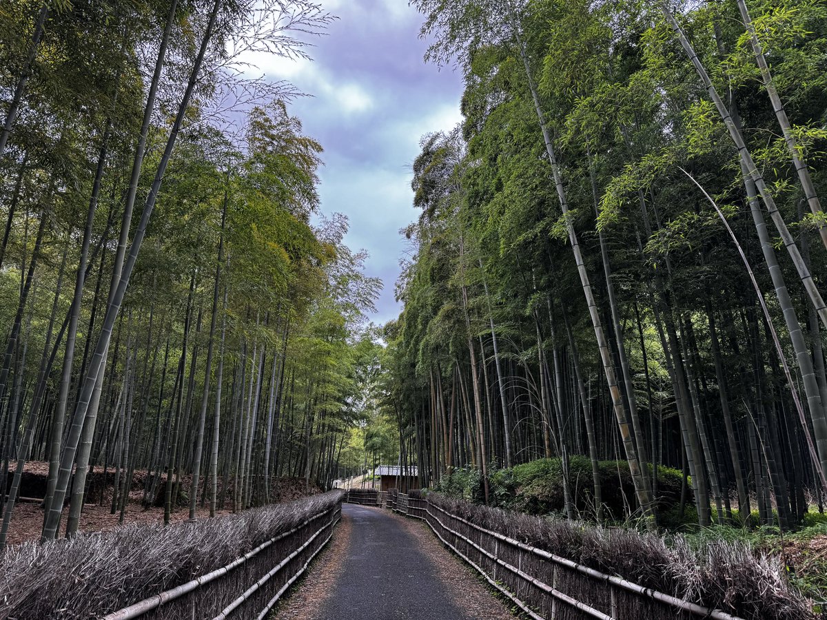 Neo99J's tweet photo. 京都クイーズ！！！
ここどーこだ。
※ 大喜利禁止 https://t.co/MGJXQCgOWM