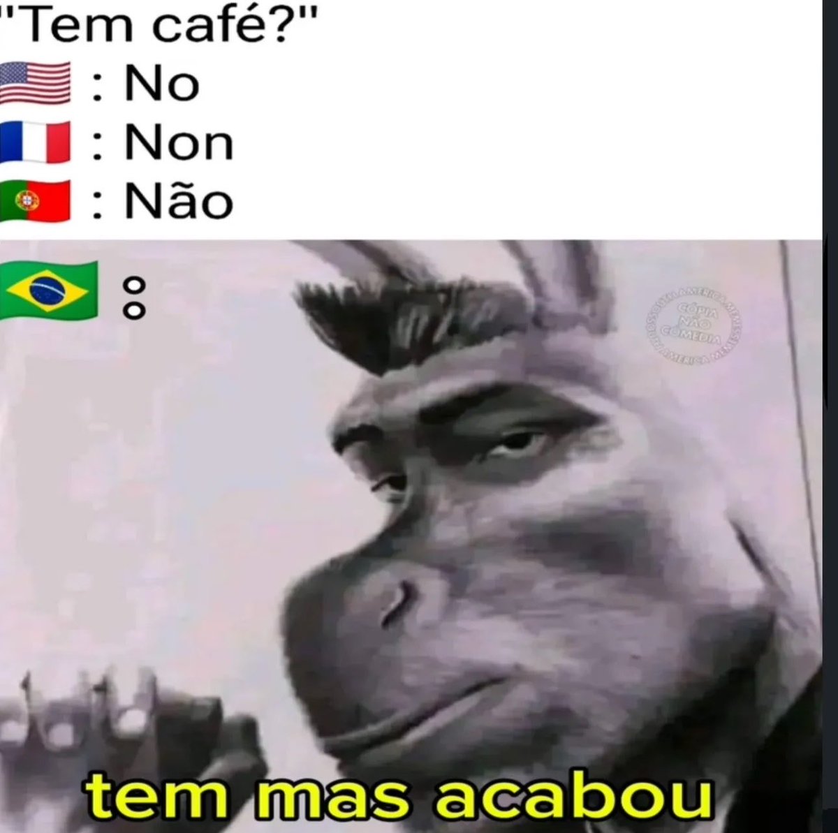 shitpostverdade's tweet photo. https://t.co/kVVNt5cYkB