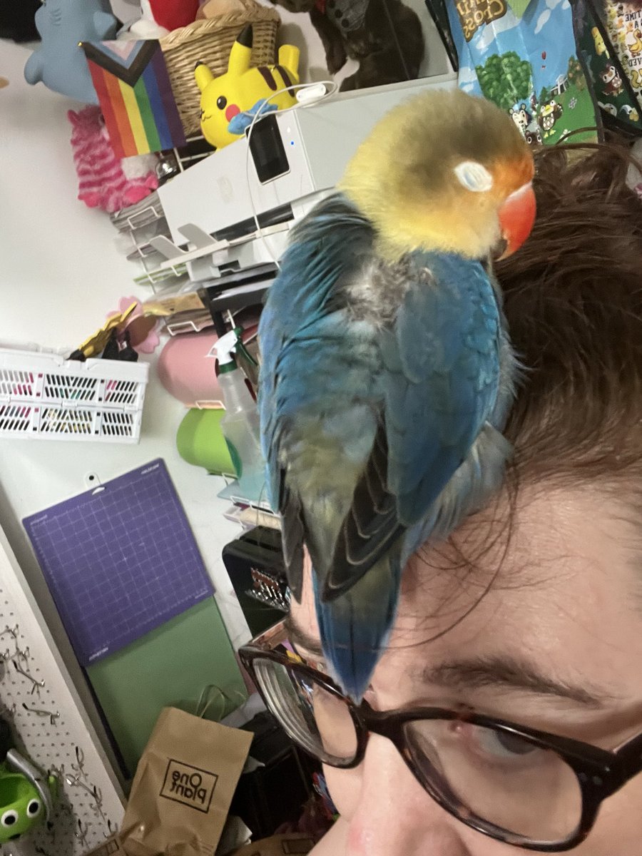 agirlopinions's tweet photo. I’m not sure anything has ever loved me like she does https://t.co/4FGc0YXofH