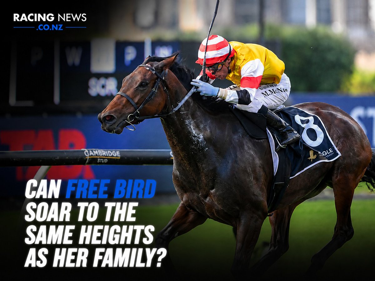 nzracingnews's tweet photo. NEWS: Greene Racing mare Free Bird set to contest middle distance for the first time at Ellerslie on Saturday.

https://t.co/BOKrsXLsH6 https://t.co/lOS3hylHbG