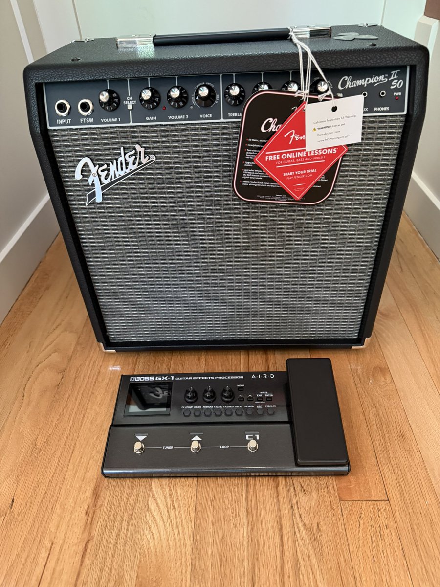 trophy_watch's tweet photo. Someone please help me get the katana go Pink Floyd run like hell patch on the gx1 ?! I can’t get it. (Going into a fender champion II) https://t.co/wwo0KoUUDc